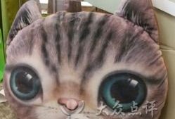 胖猫谭竹吃瓜爆料